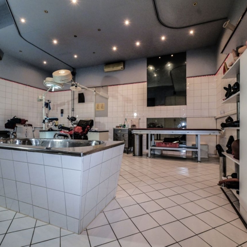 Die Ambulanz - Foto 1 von 1