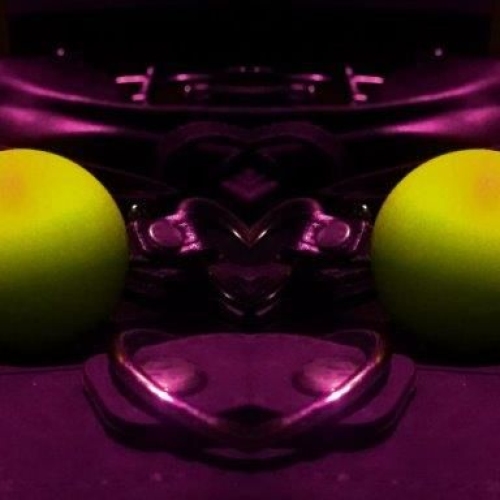 Leder Eleganz - Foto 32 von 32