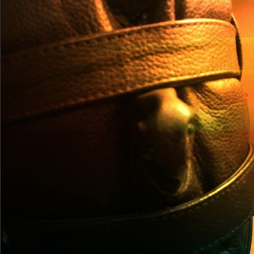 Leder Eleganz - Foto 29 von 32